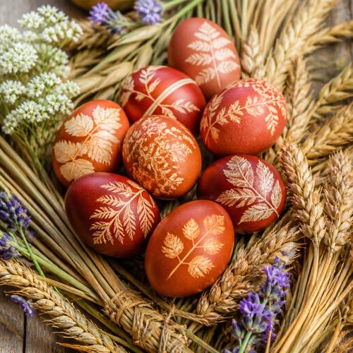 Egg decorating idea - Natural Red Onion Skin Dye